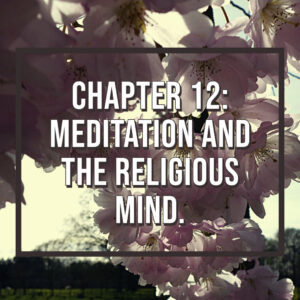 My Post(11)