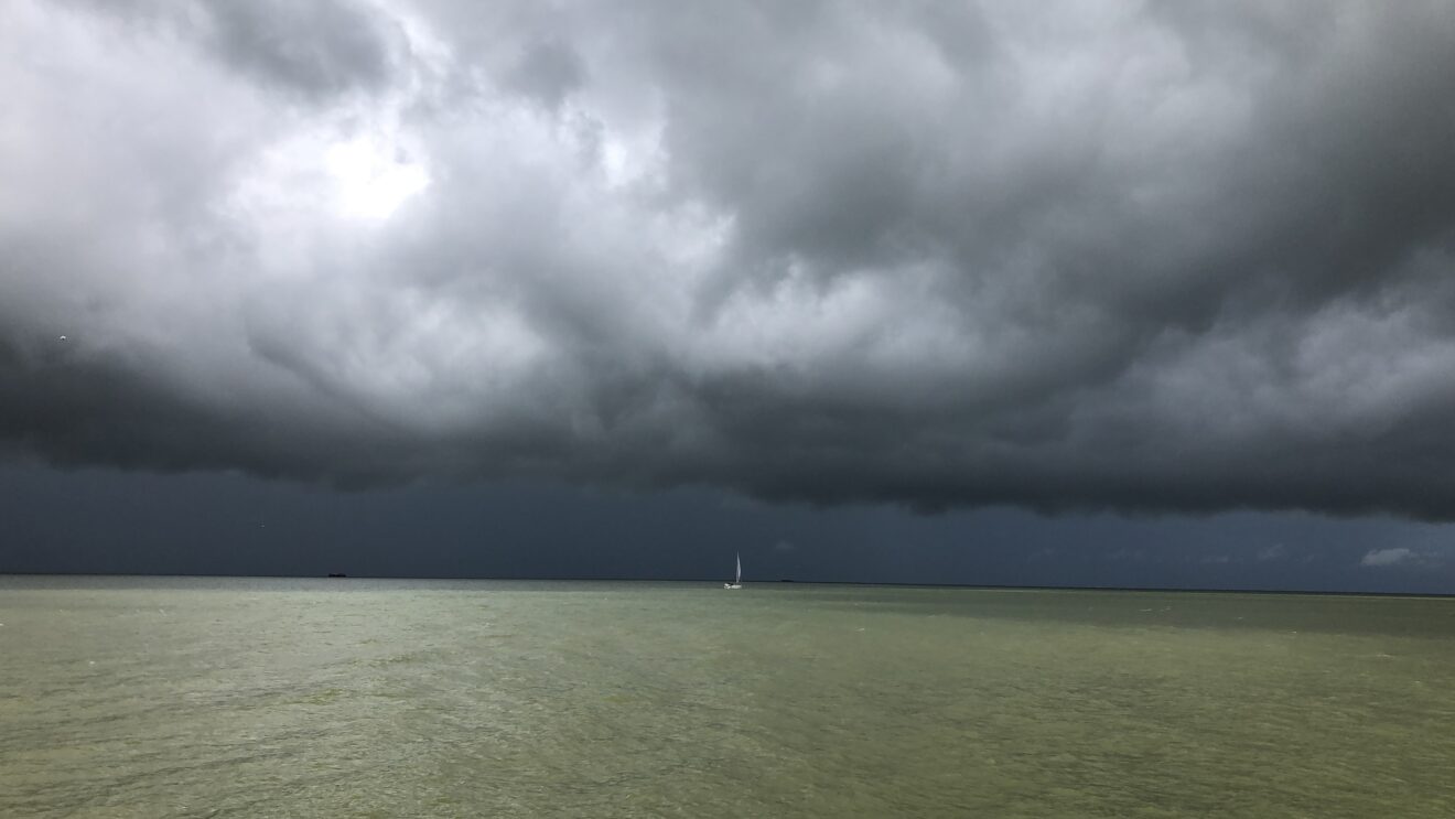 The Sound and the Fury