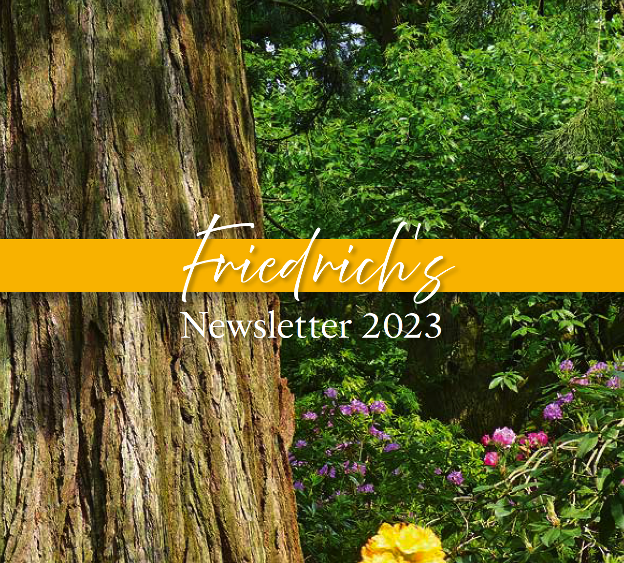 Friedrich’s Newsletter 2023