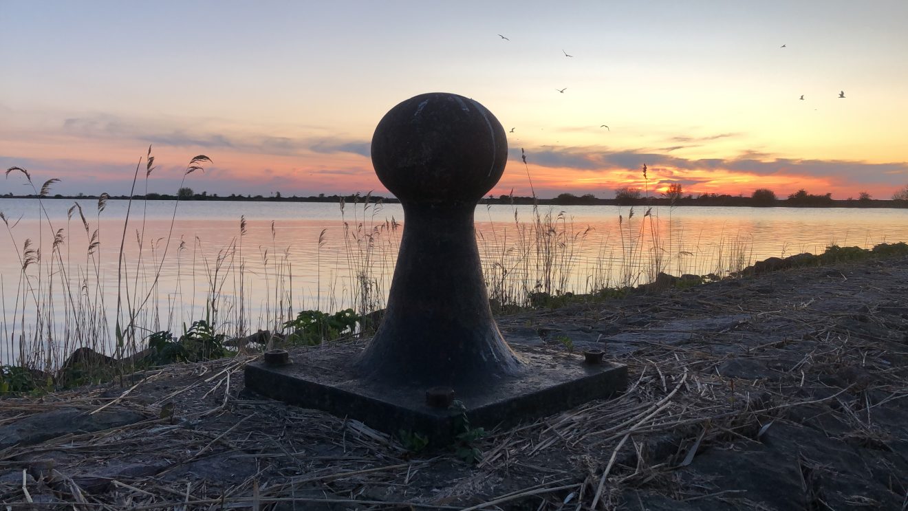 The Book of Yourself Newsletter