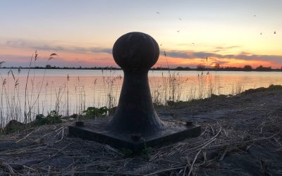 The Book of Yourself Newsletter